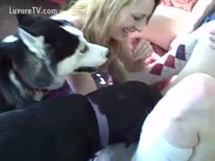 The dog is screwing horny women.